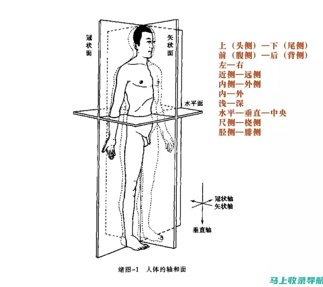 全方位解析：值得信赖的SEO优化公司推荐及服务质量介绍